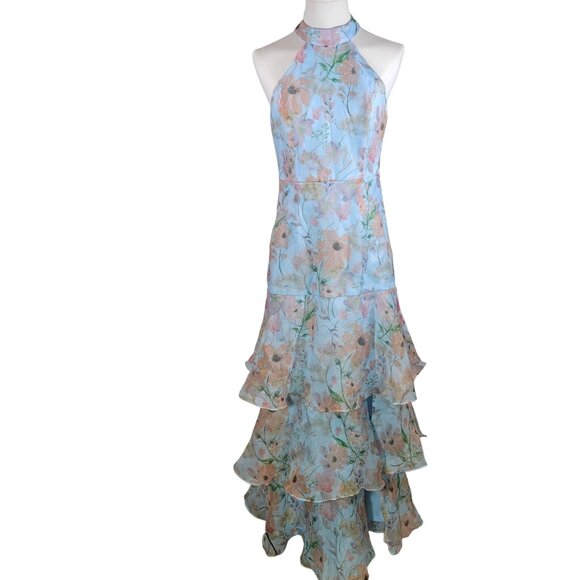 Lulus Forever Exceptional Light Blue Floral Halter Organza Maxi Dress Size M - Picture 1 of 8